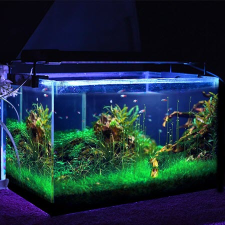 SIMBR LED Luz Acuario